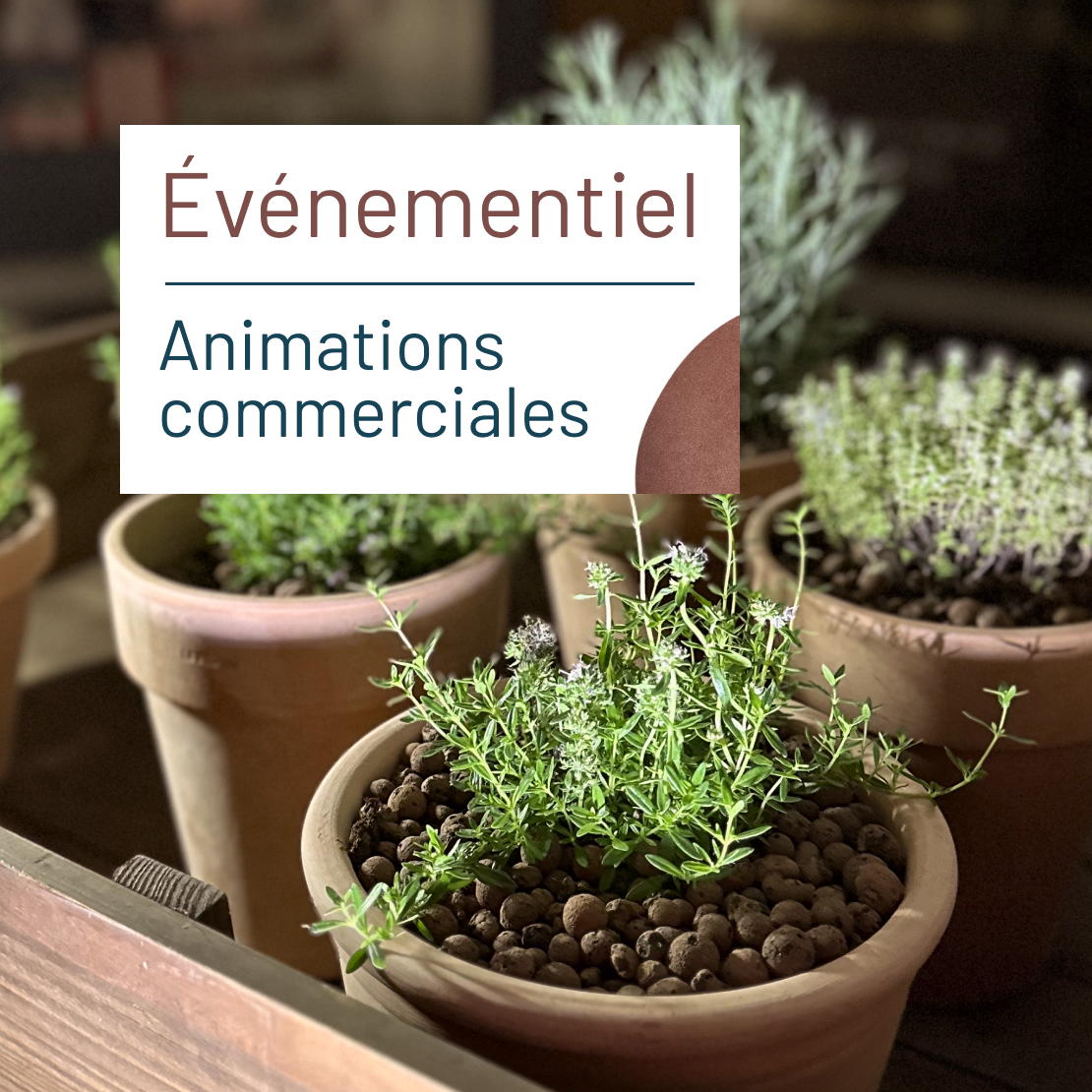Illustration actualité Chez Mérignac Soleil, la seconde main et la nature font le show