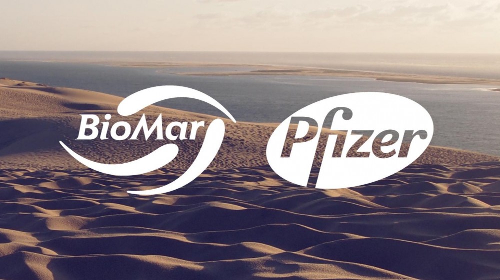 Les sociétés Biomar et Pfizer, deux clients nationaux de l’époque pour l'agence Inoxia.
