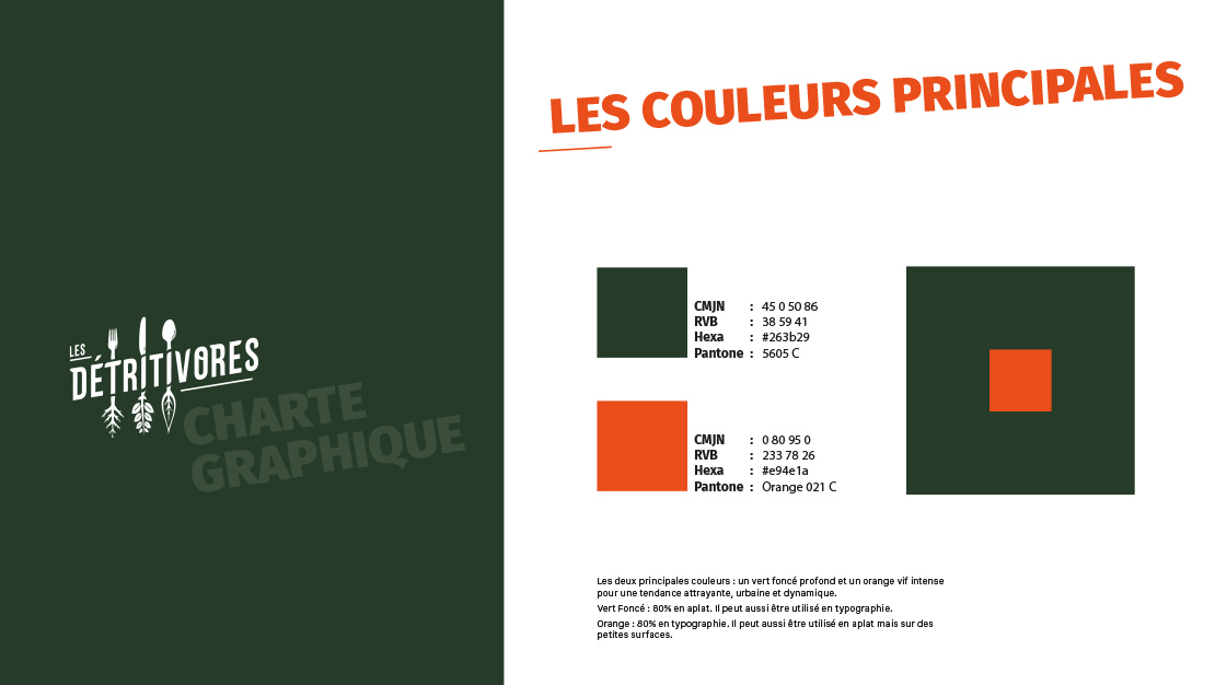 Nouvelle charte graphique "Les Détritivores" / Les couleurs principales.