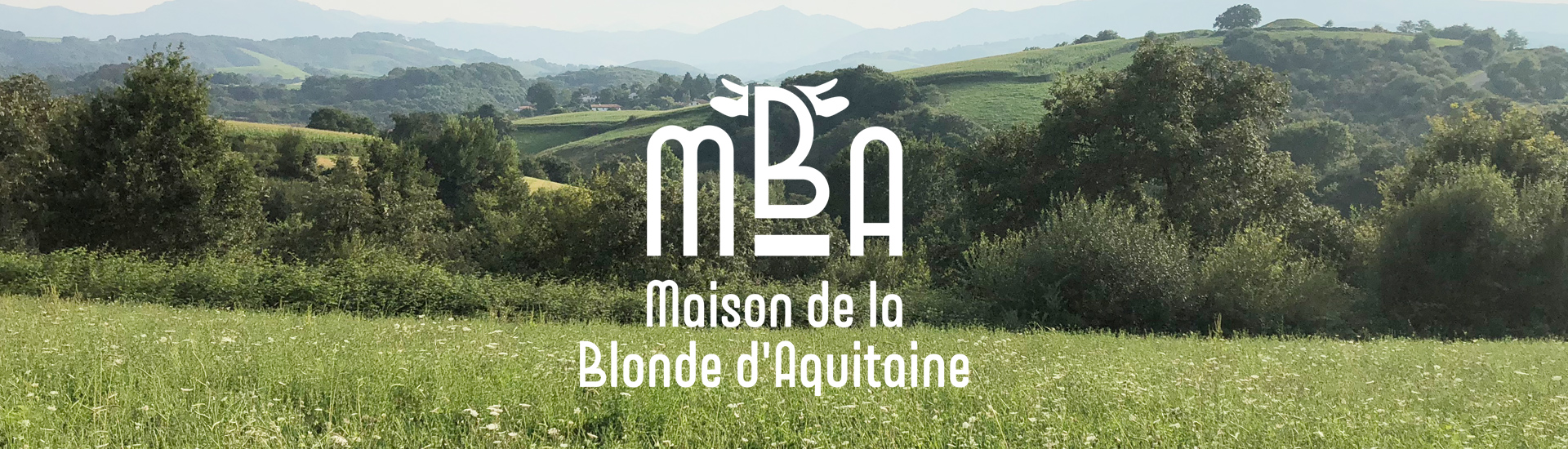 Création de l'identité de la Maison de la Blonde d'Aquitaine