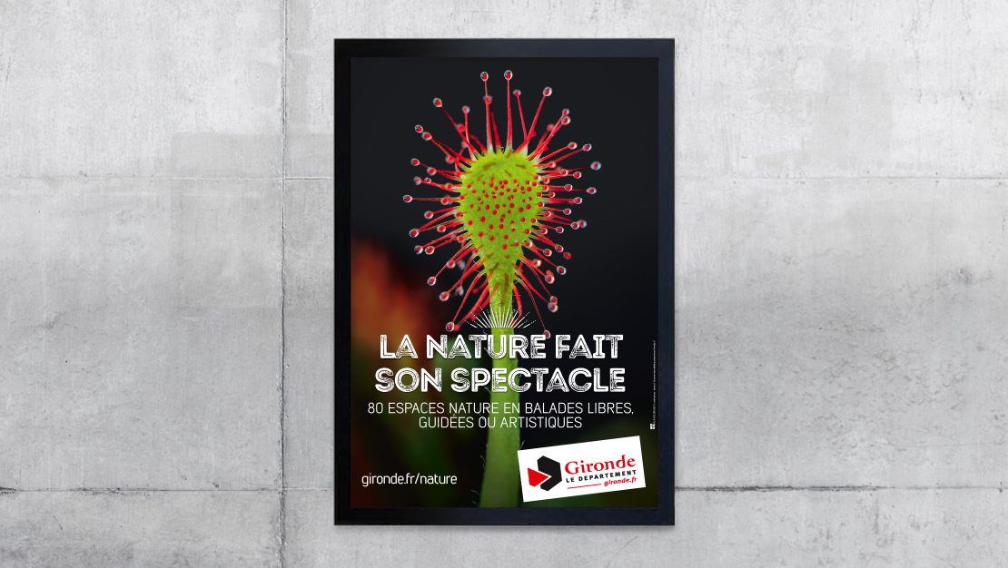 Affichage ENS 2016